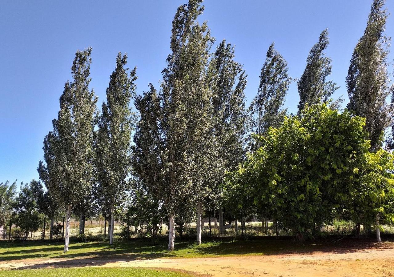 Greenside Of Sea Corujeira Εξωτερικό φωτογραφία