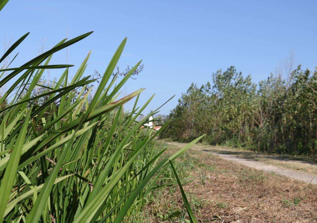 Greenside Of Sea Corujeira Εξωτερικό φωτογραφία